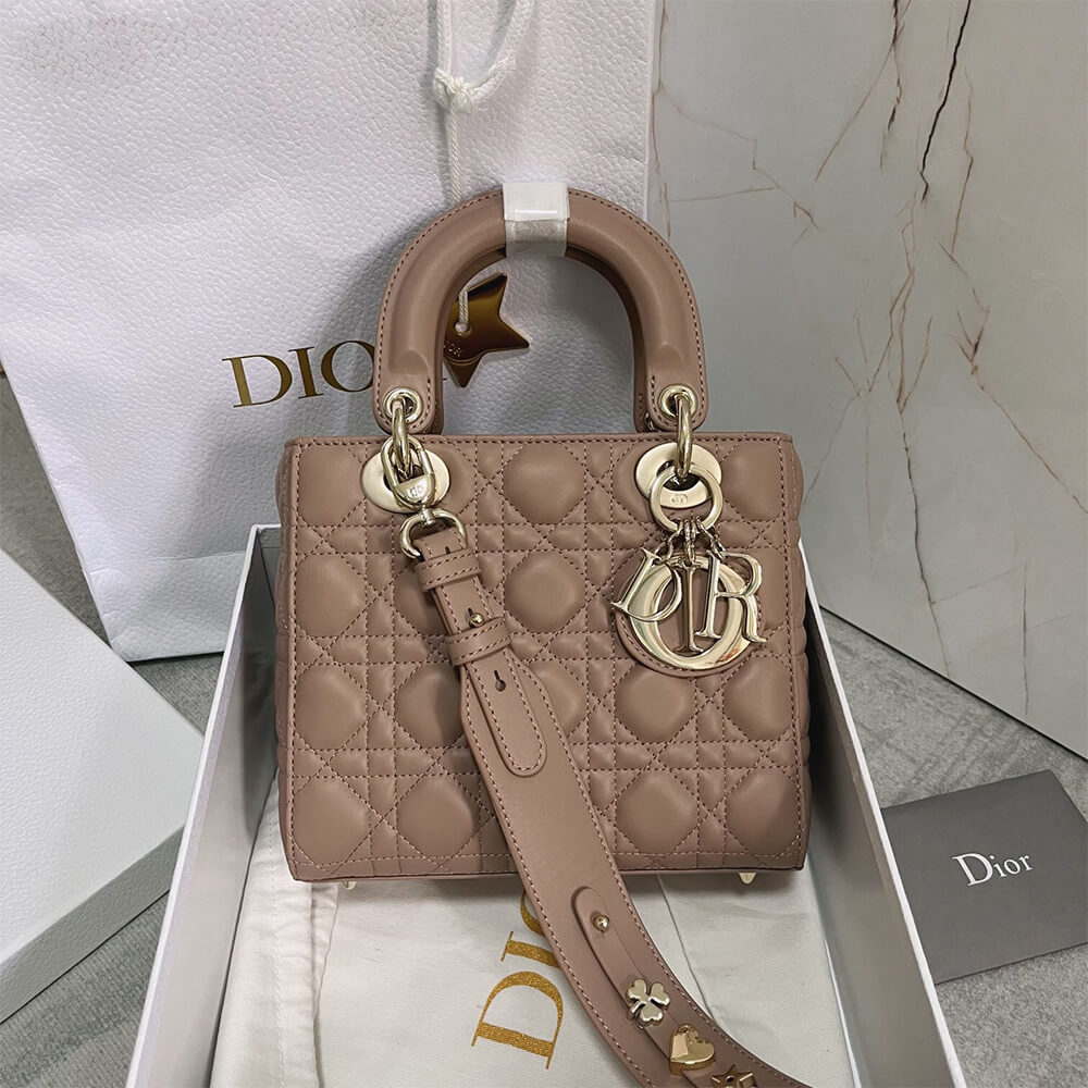 small lady D*or my abcD*or bag