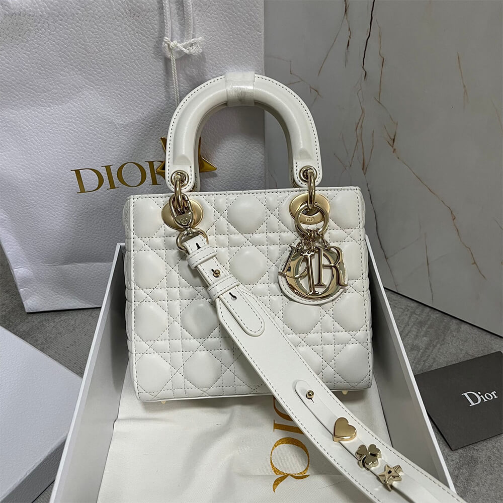 small lady D*or my abcD*or bag