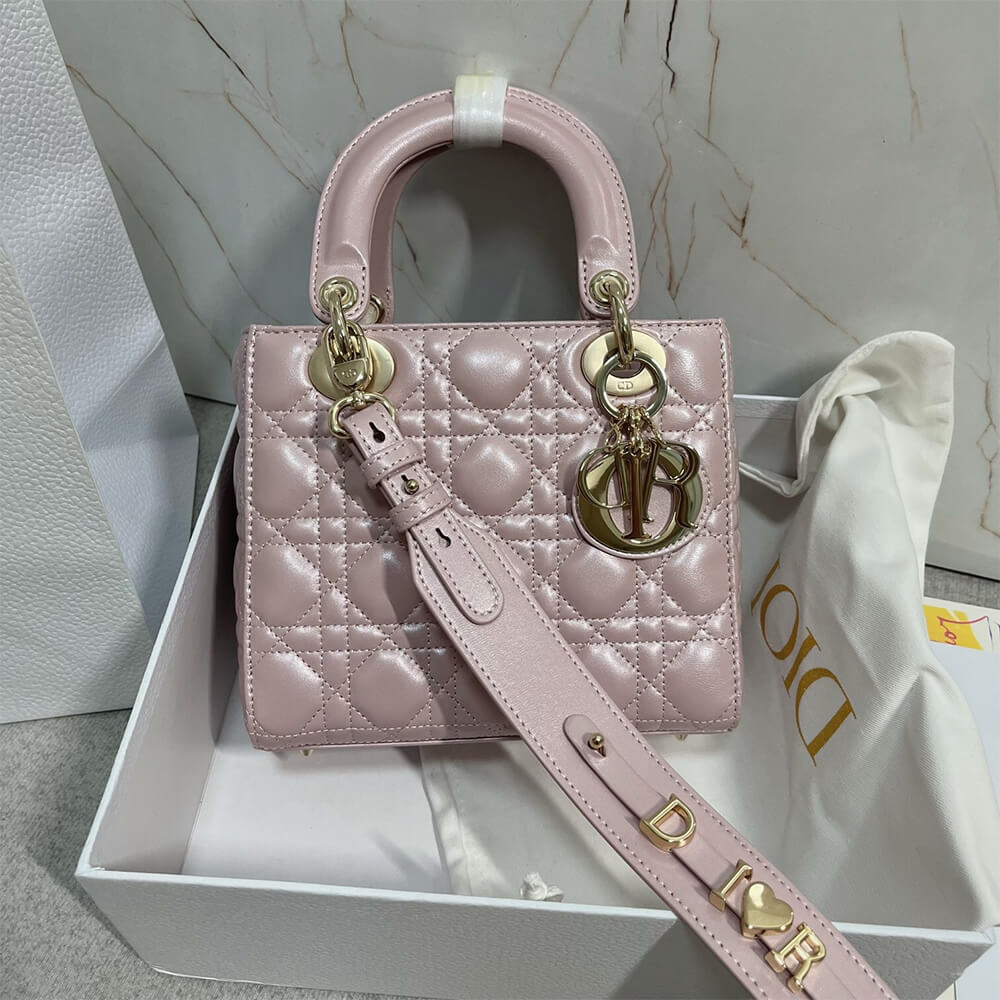 small lady D*or my abcD*or bag