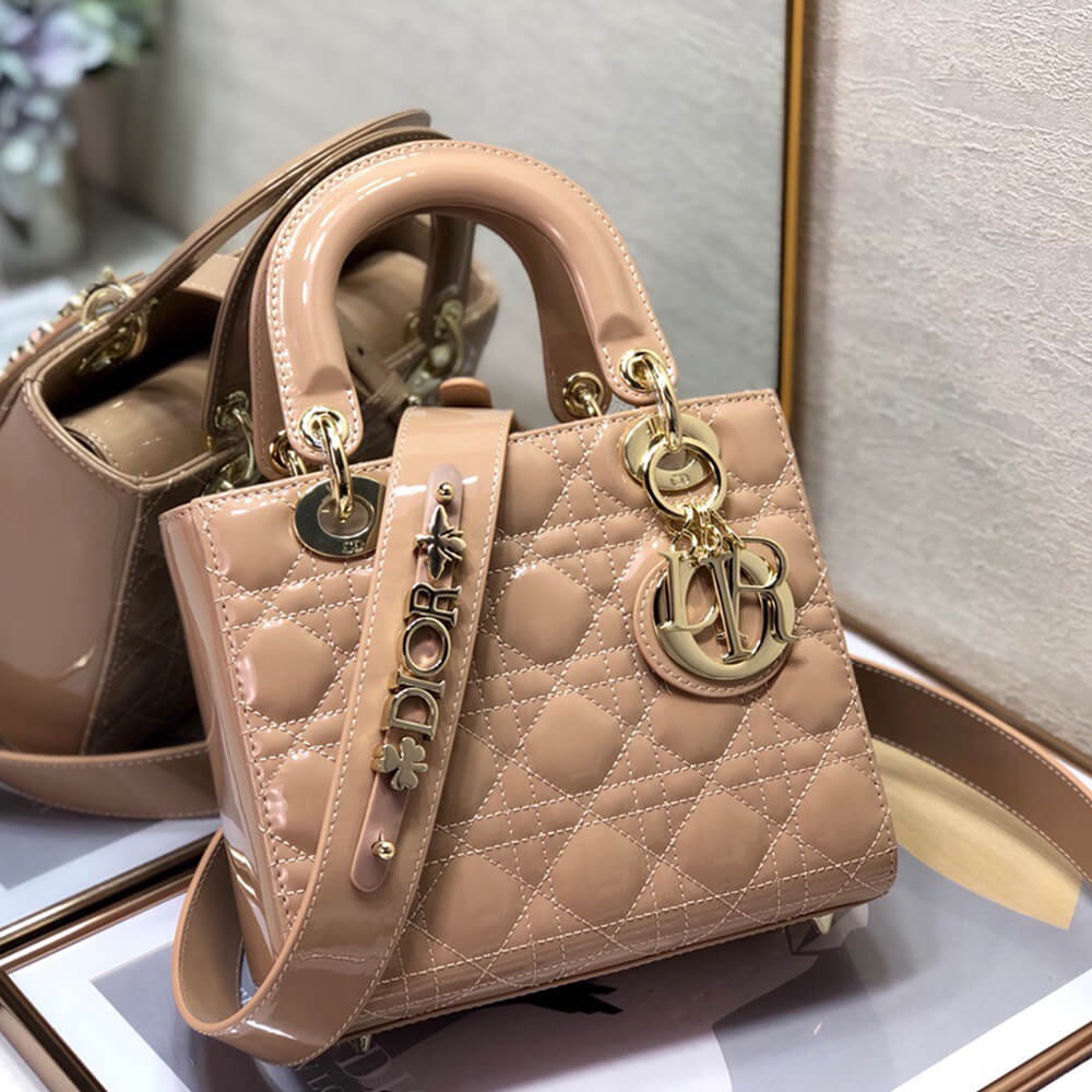small lady D*or my abcD*or bag