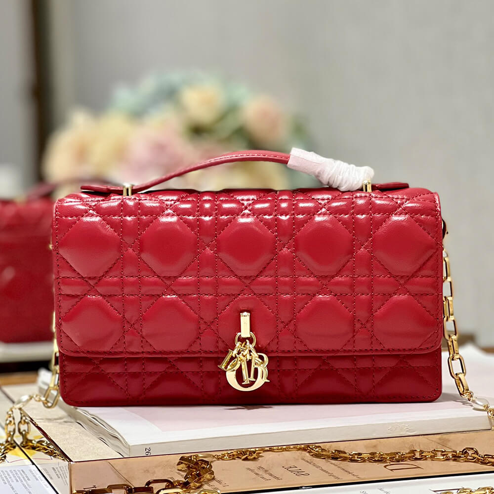 miss D*or mini bag