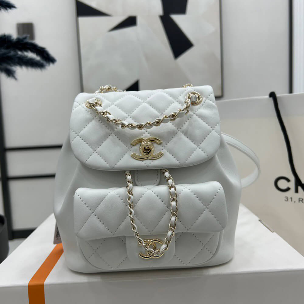 Ch*el 22a mini duma backpack