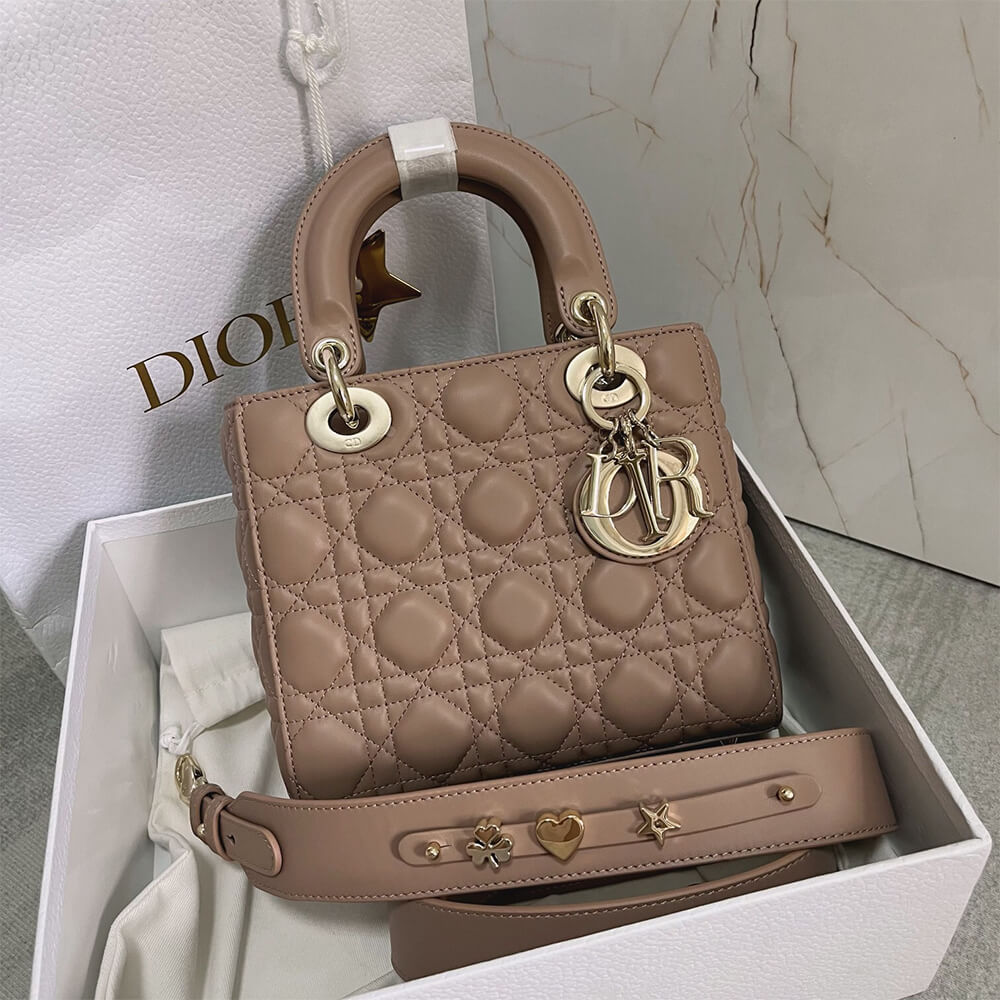 small lady D*or my abcD*or bag