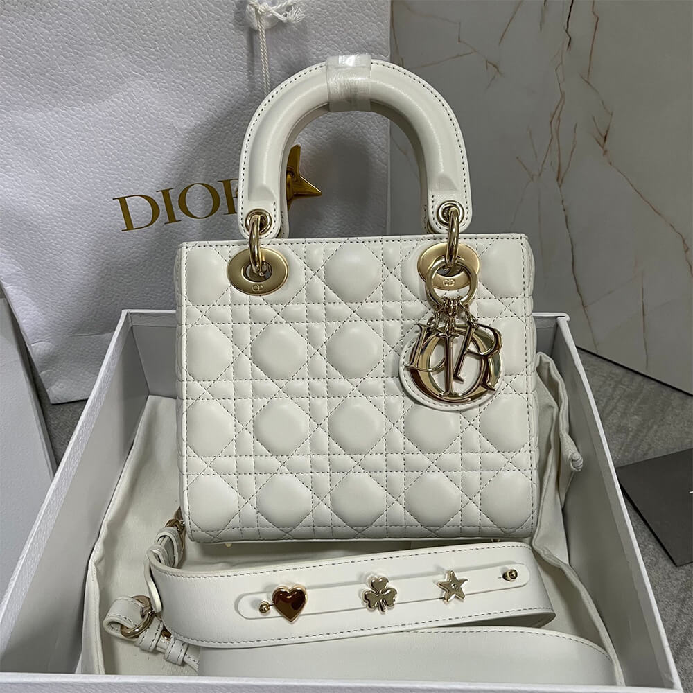 small lady D*or my abcD*or bag
