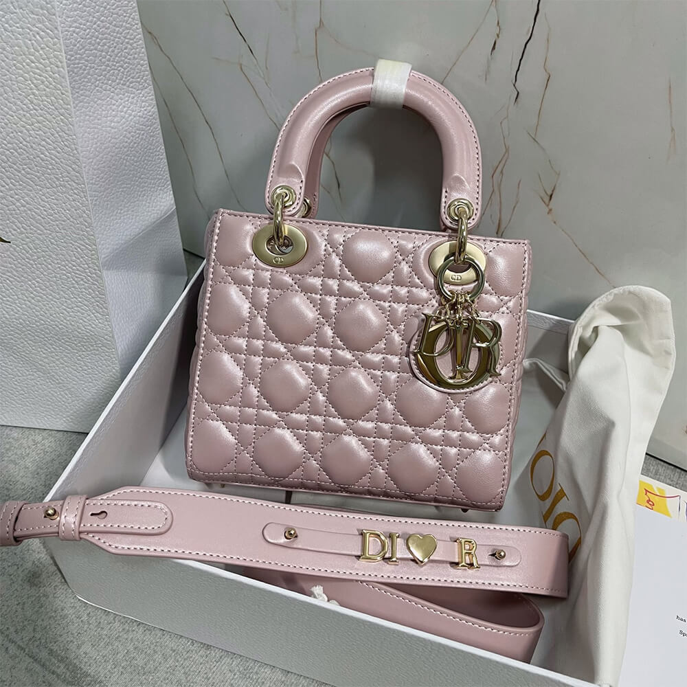 small lady D*or my abcD*or bag