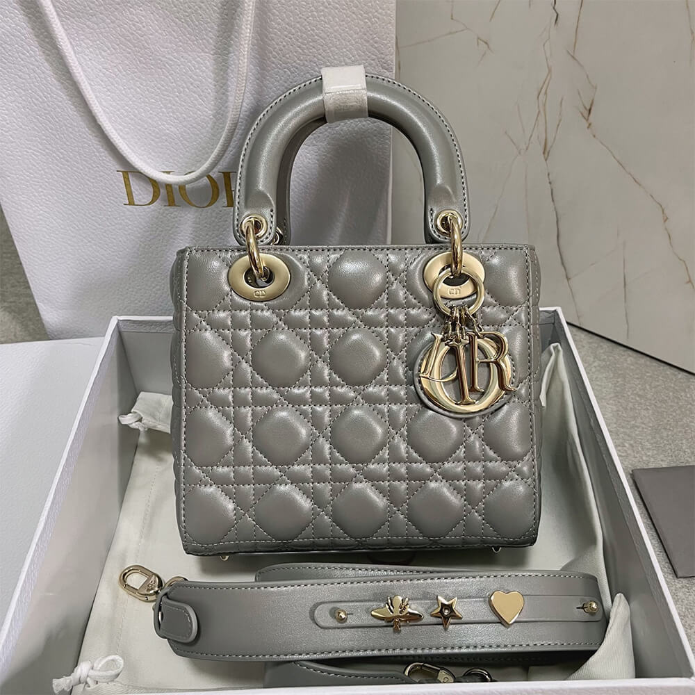 small lady D*or my abcD*or bag