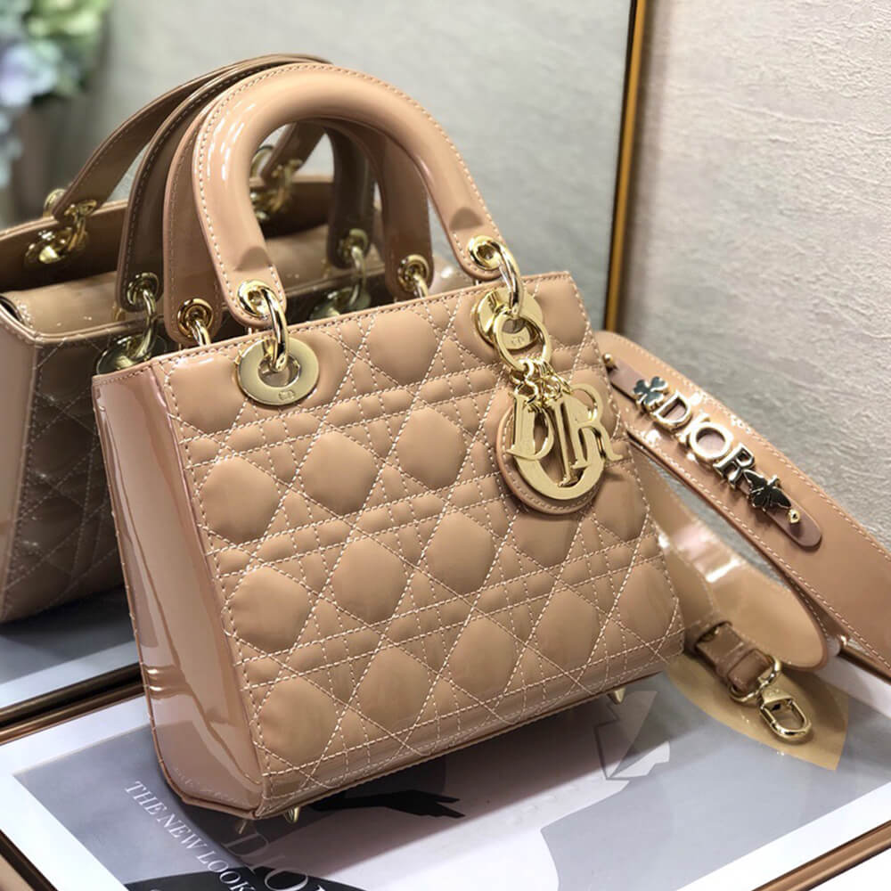 small lady D*or my abcD*or bag
