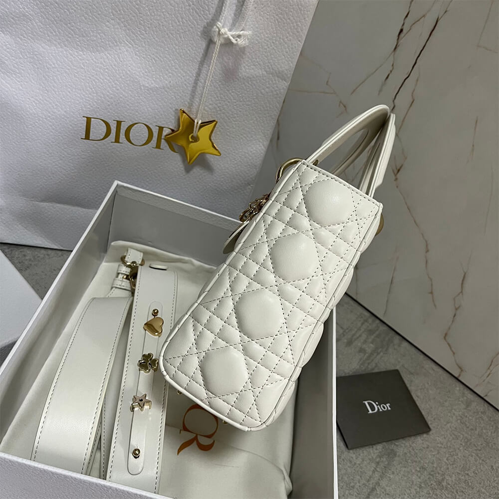 small lady D*or my abcD*or bag