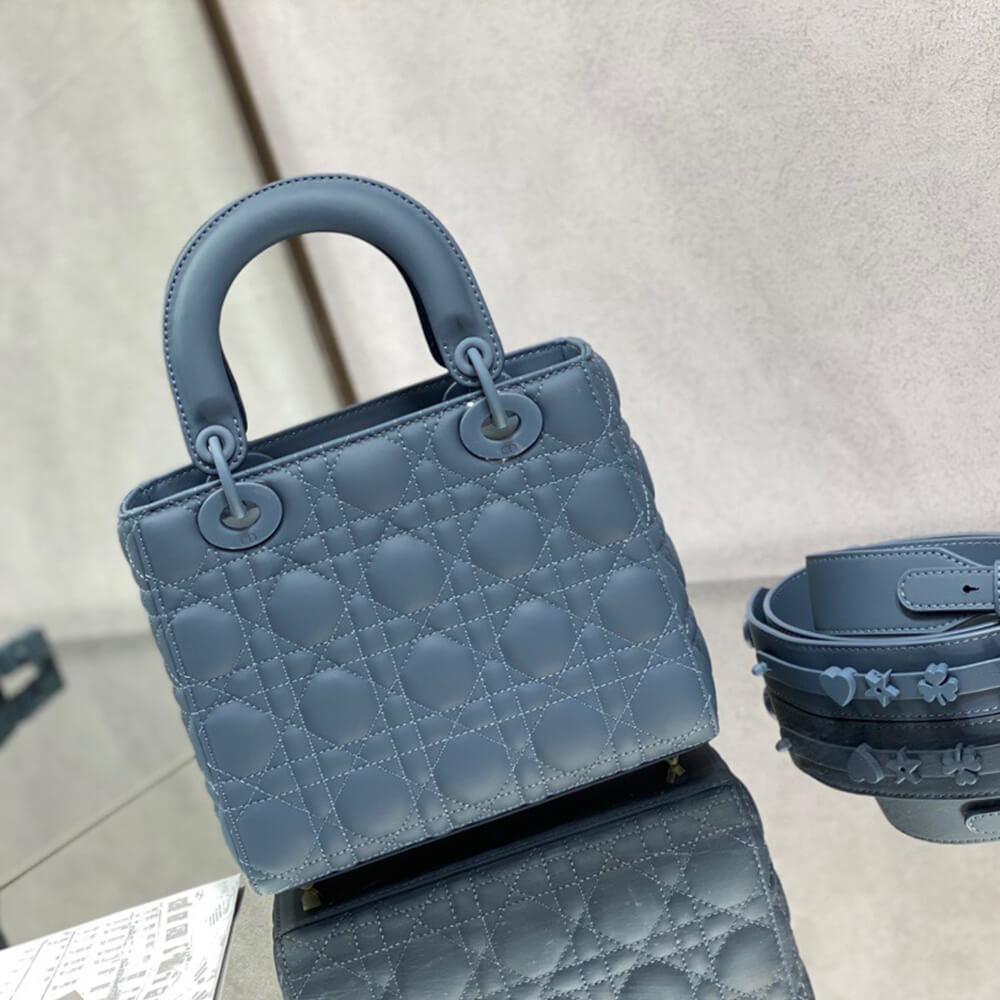 small lady D*or my abcD*or bag