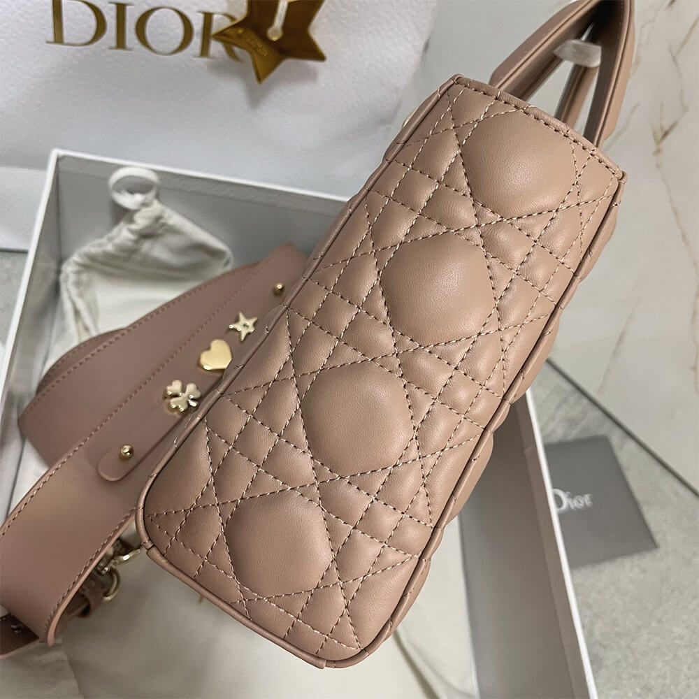 small lady D*or my abcD*or bag