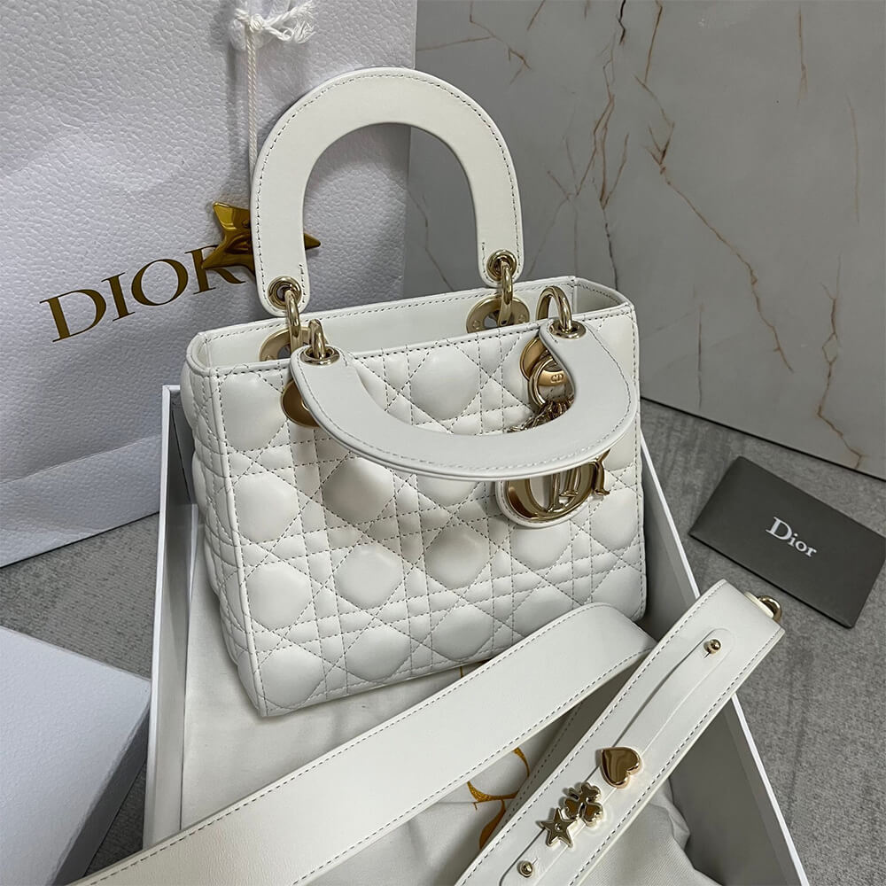 small lady D*or my abcD*or bag