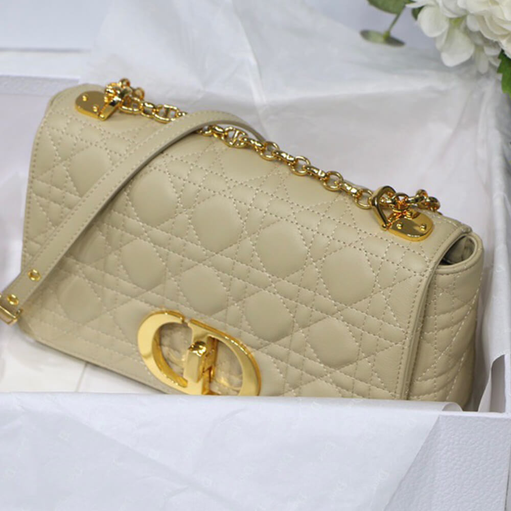 medium D*or caro bag