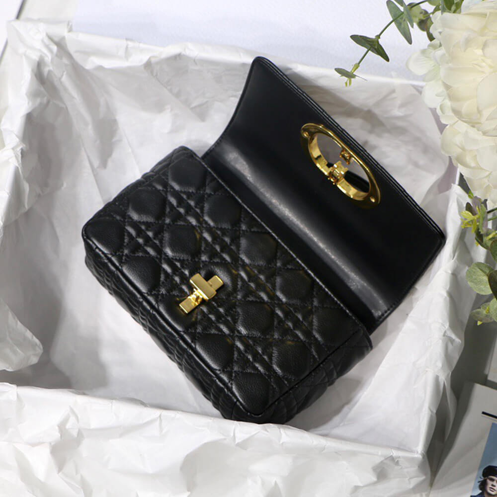 small D*or caro bag