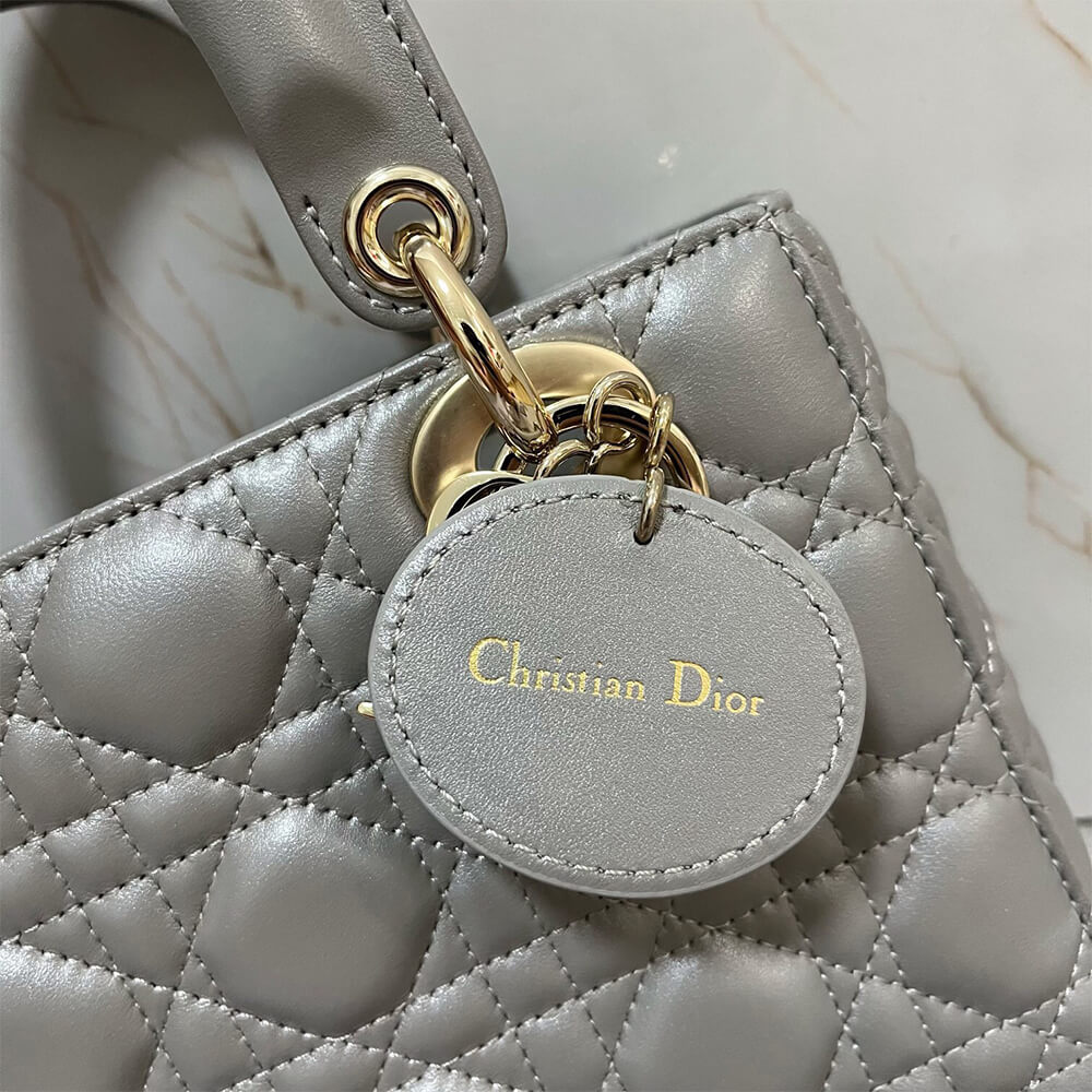 small lady D*or my abcD*or bag