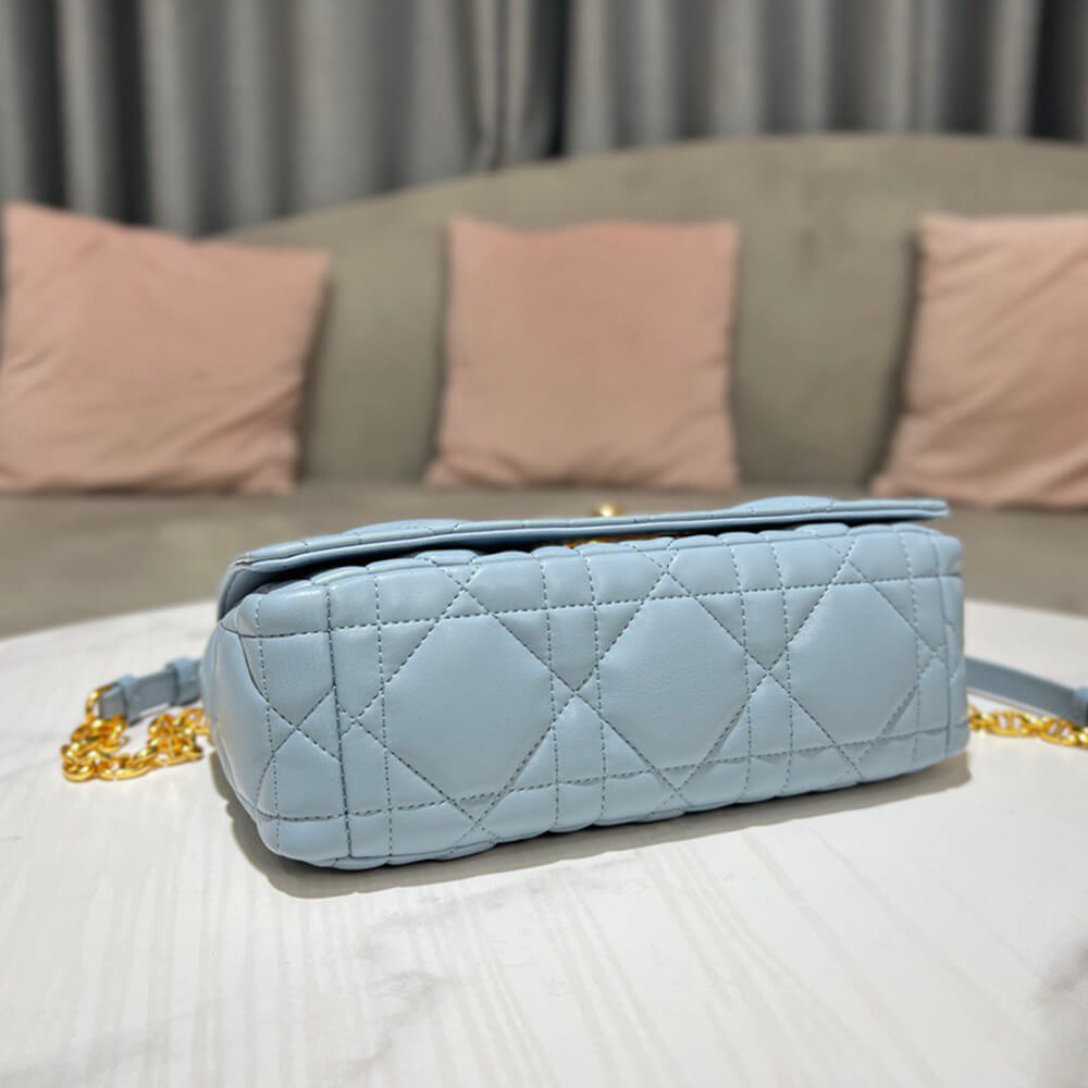 medium D*or caro bag