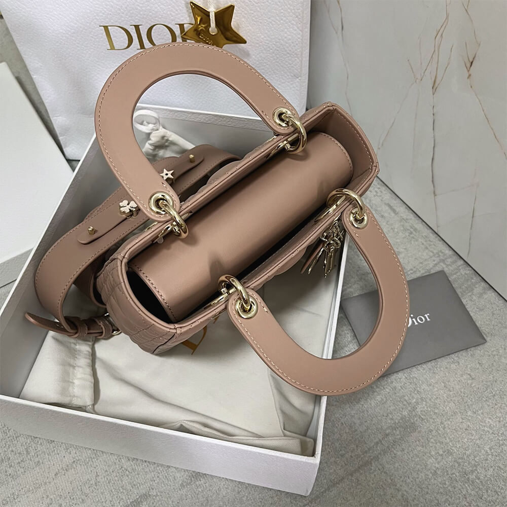 small lady D*or my abcD*or bag