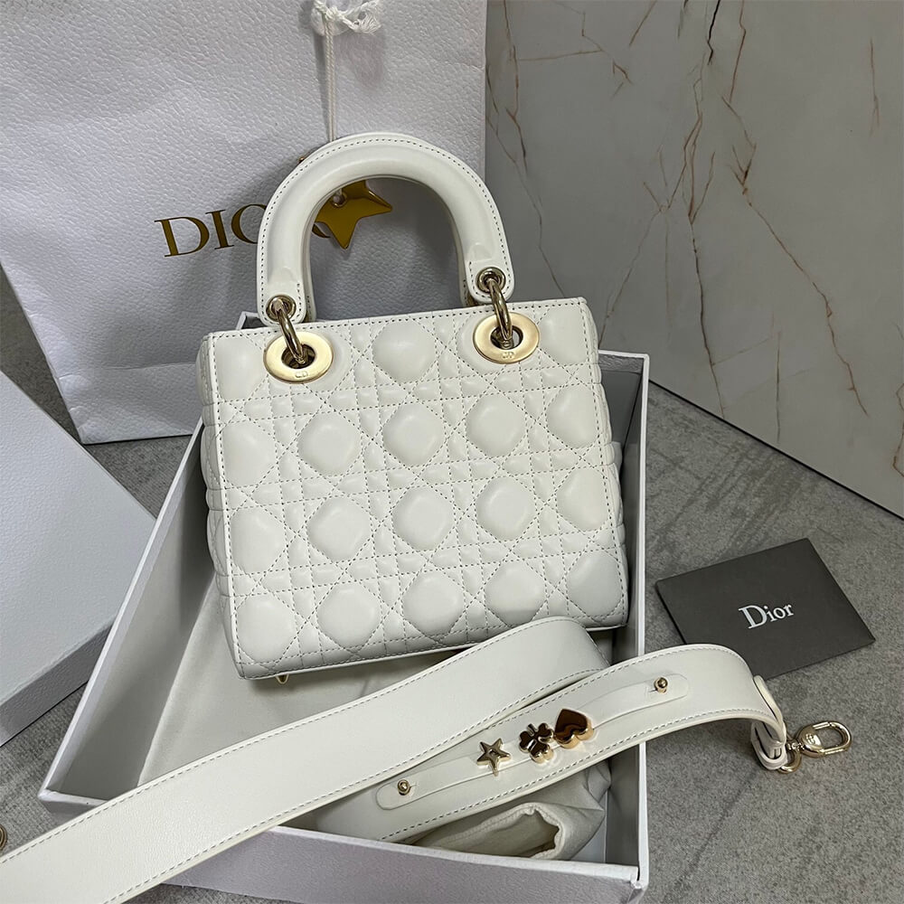 small lady D*or my abcD*or bag