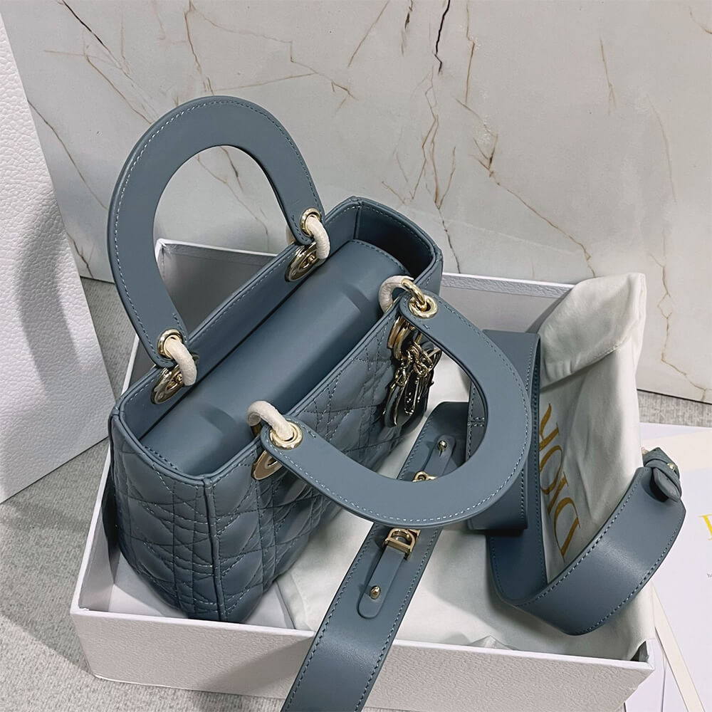 small lady D*or my abcD*or bag