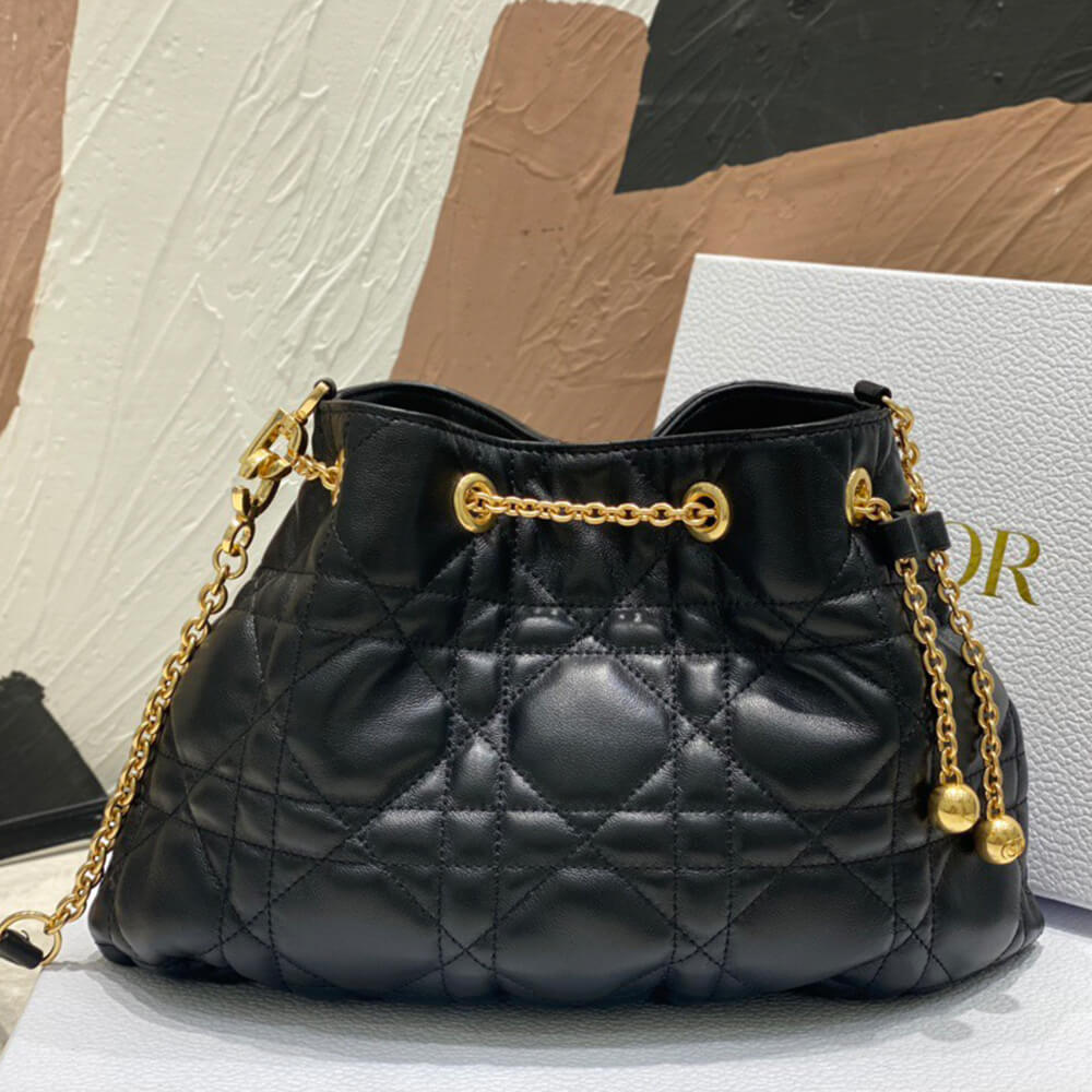 medium D*or ammi bag