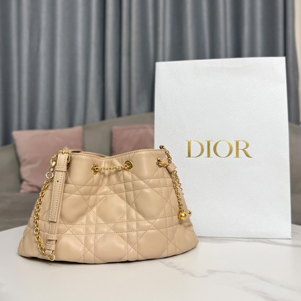 medium D*or ammi bag