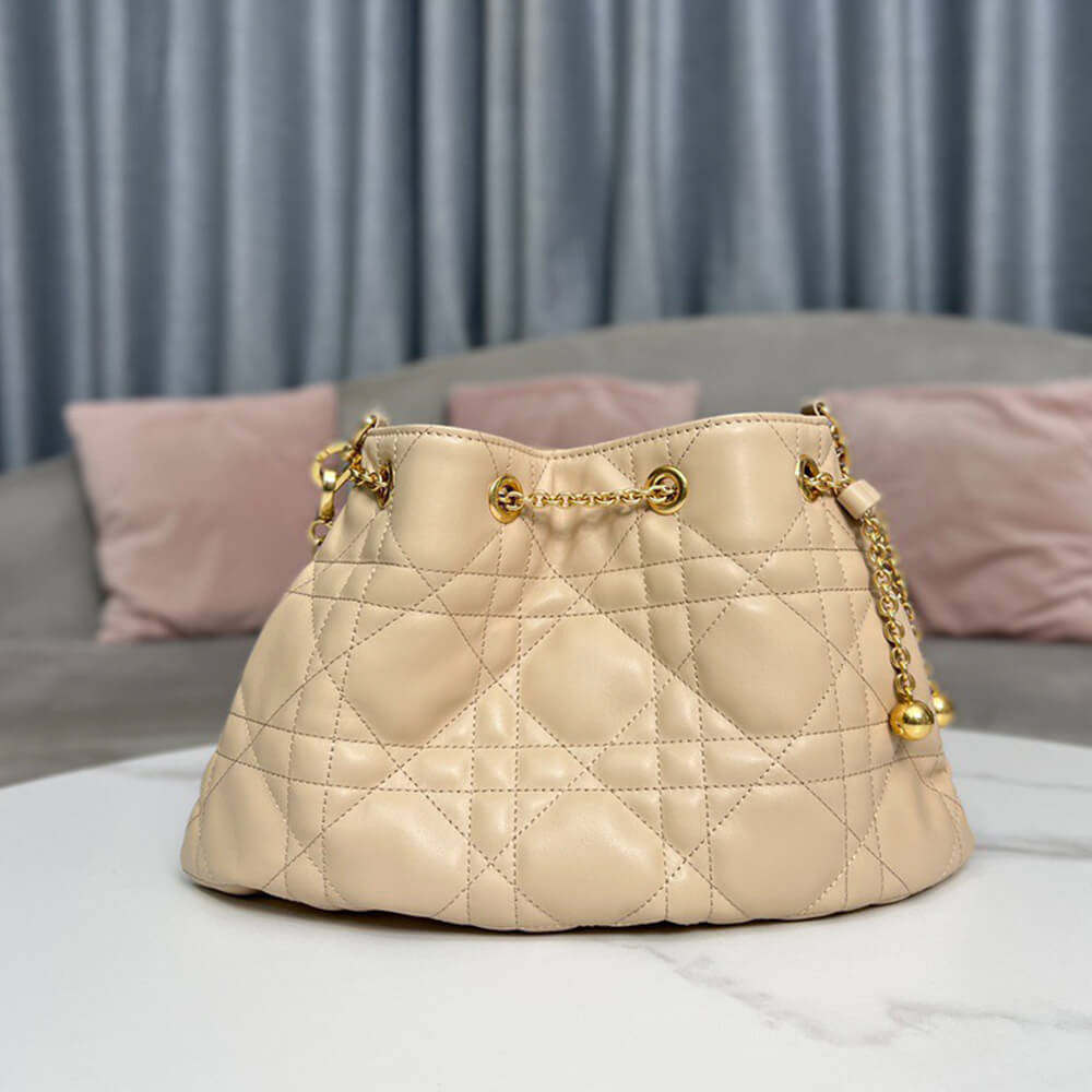 medium D*or ammi bag