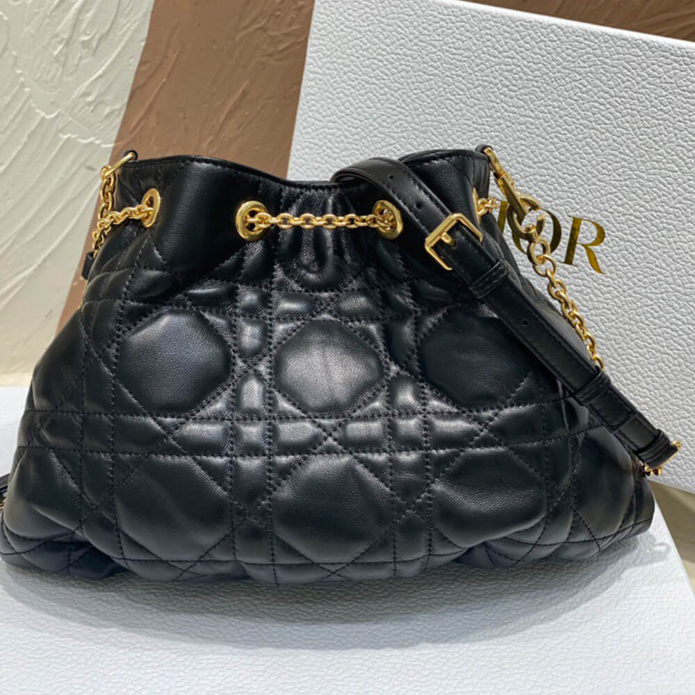 medium D*or ammi bag