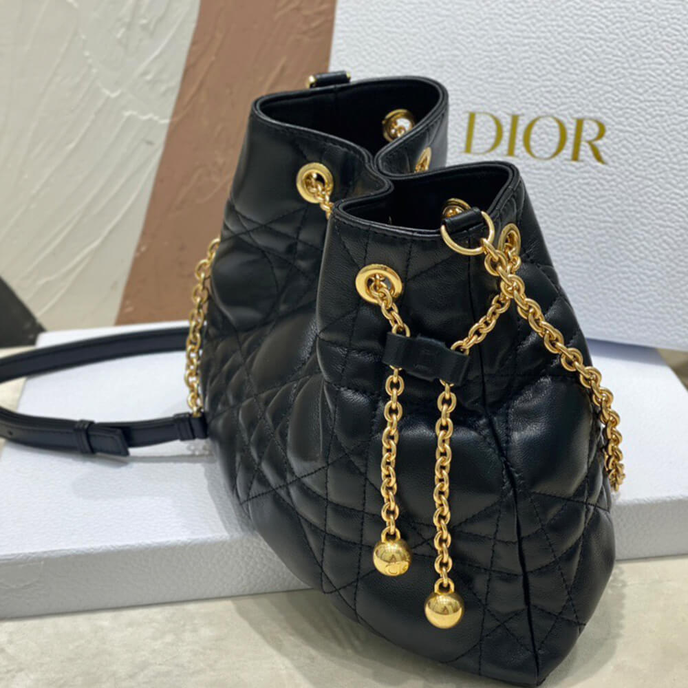 medium D*or ammi bag