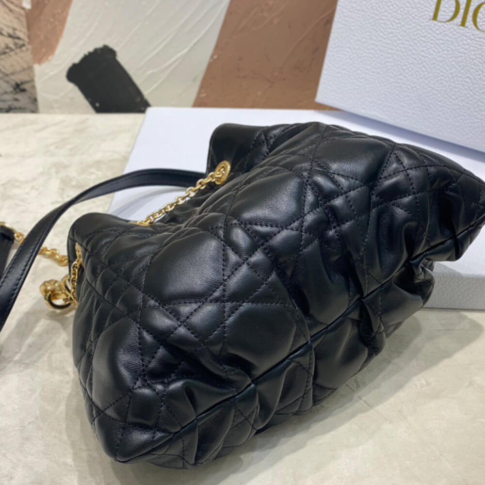 medium D*or ammi bag