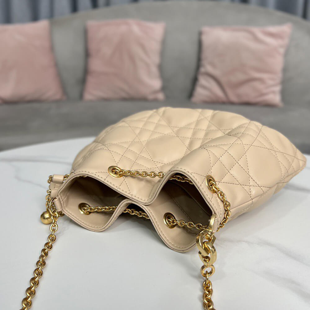 medium D*or ammi bag