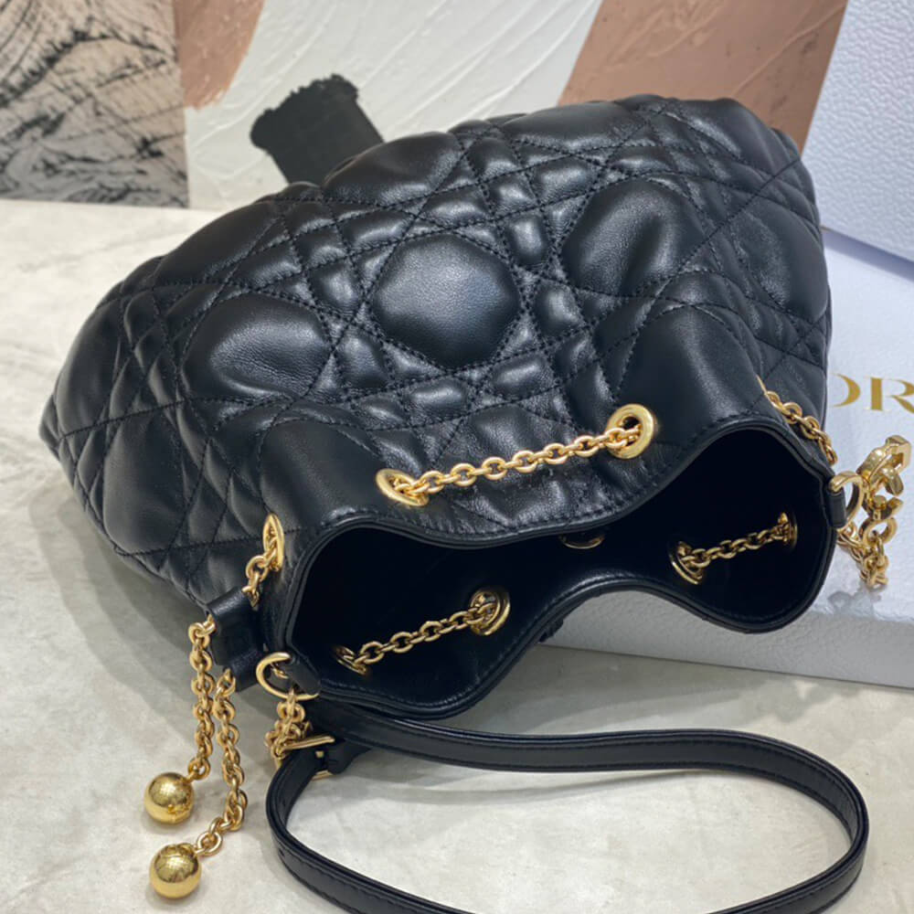 medium D*or ammi bag