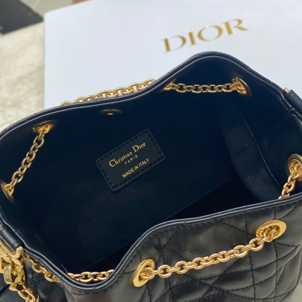 medium D*or ammi bag