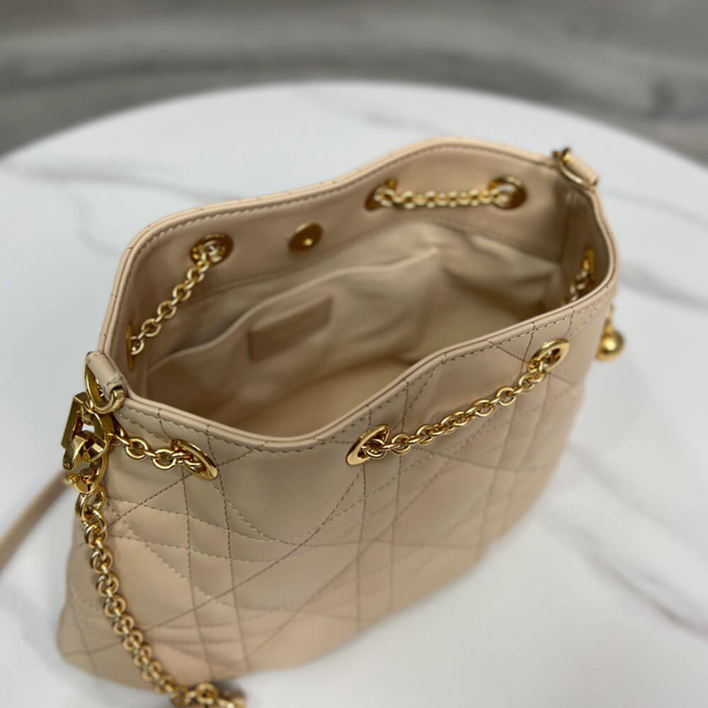medium D*or ammi bag