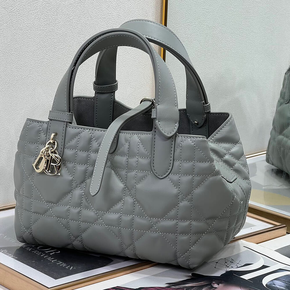 small D*or toujours bag
