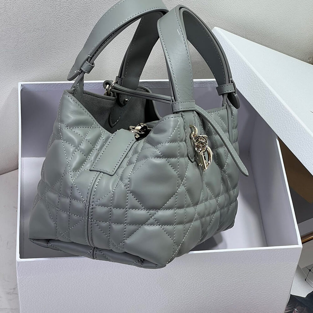 small D*or toujours bag