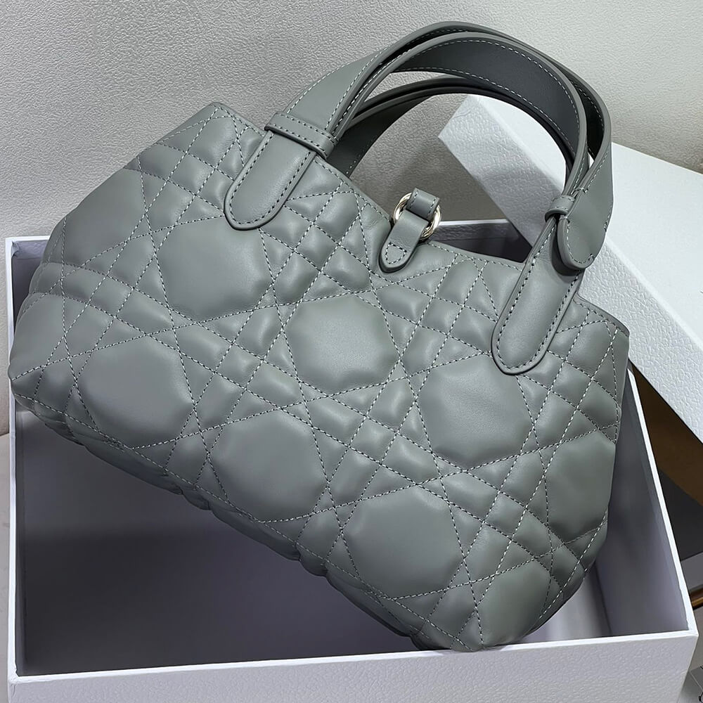 small D*or toujours bag
