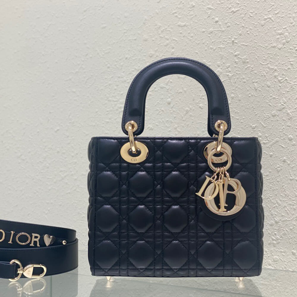 small lady D*or my abcD*or bag