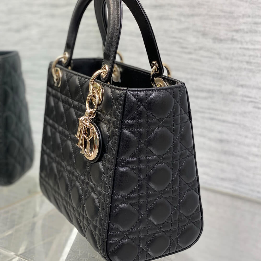 D*or medium lady bag