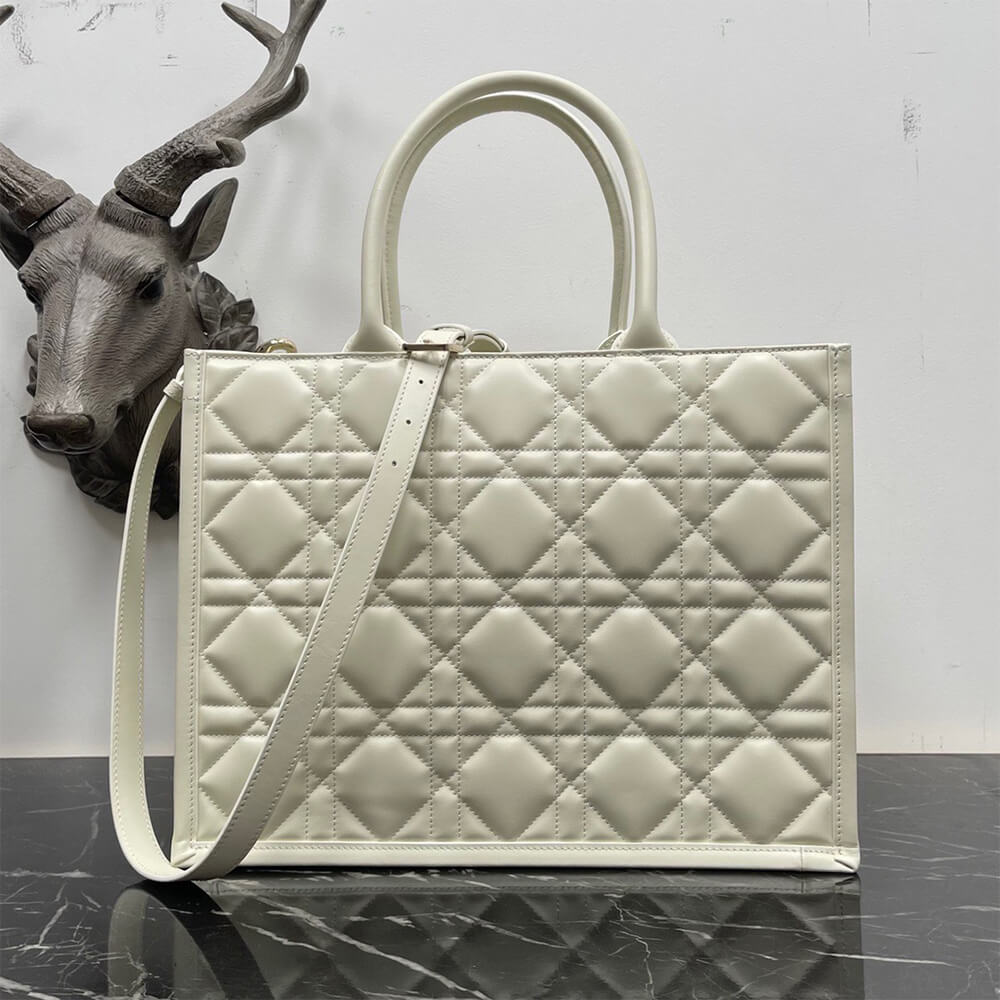 D*or medium D*or book tote