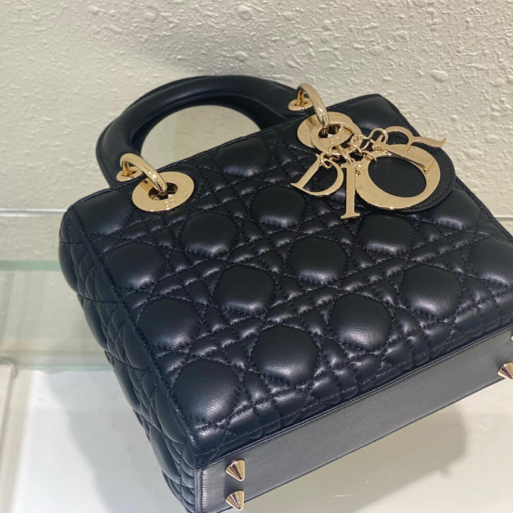 small lady D*or my abcD*or bag
