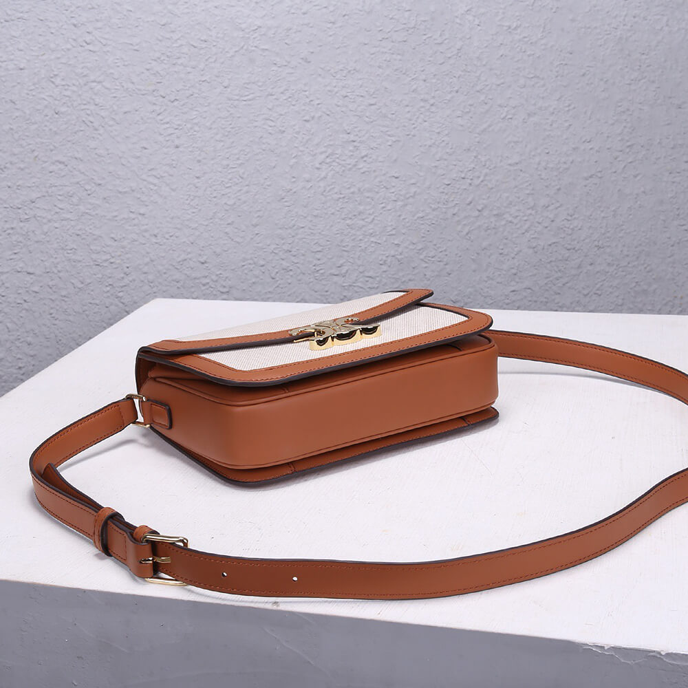 Ce**e classique triomphe bag in triomphe canvas and calfskin