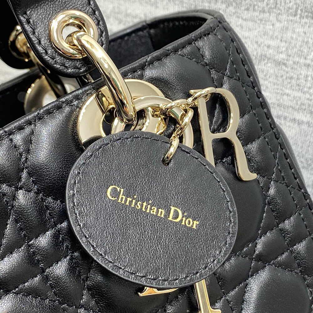 D*or medium lady bag