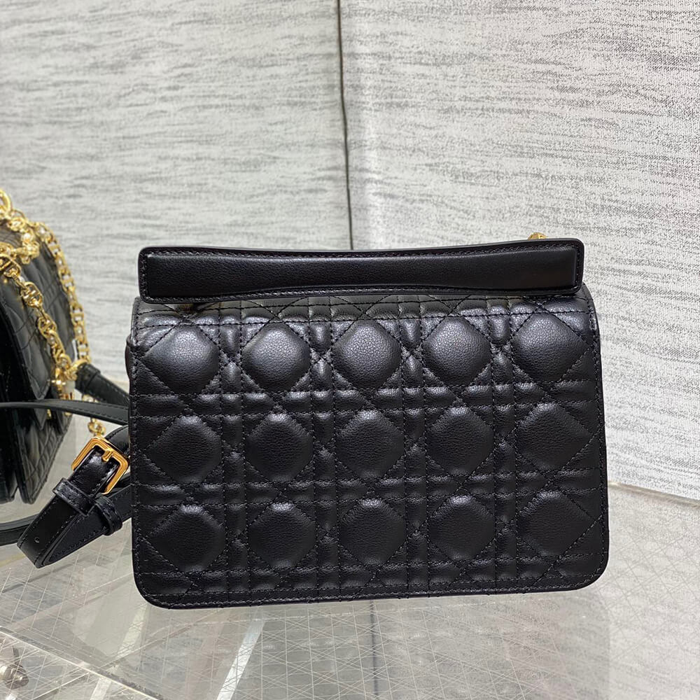 D*or small D*or jolie top handle bag