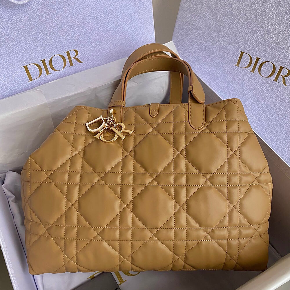 large D*or toujours bag(high-end grade)