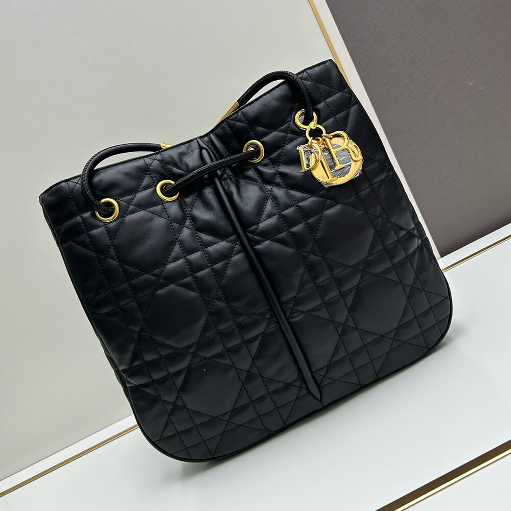 large D*or nolita bag