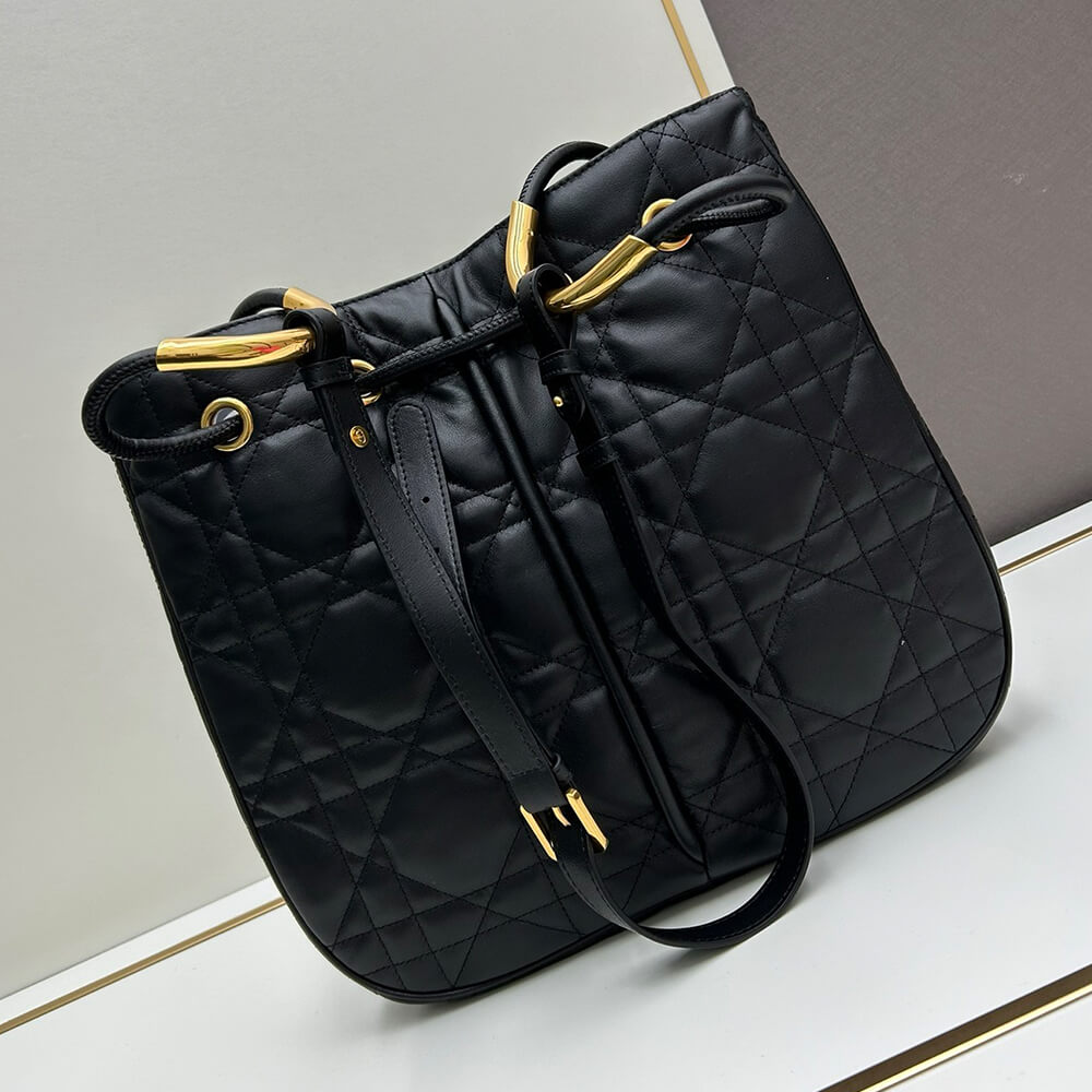 large D*or nolita bag