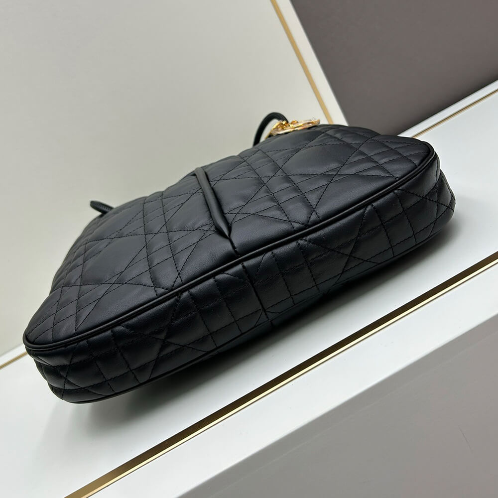 large D*or nolita bag