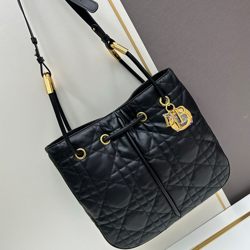 large D*or nolita bag