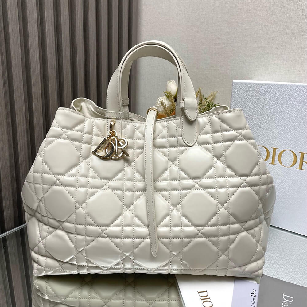 D*or large toujours bag(high-end grade)