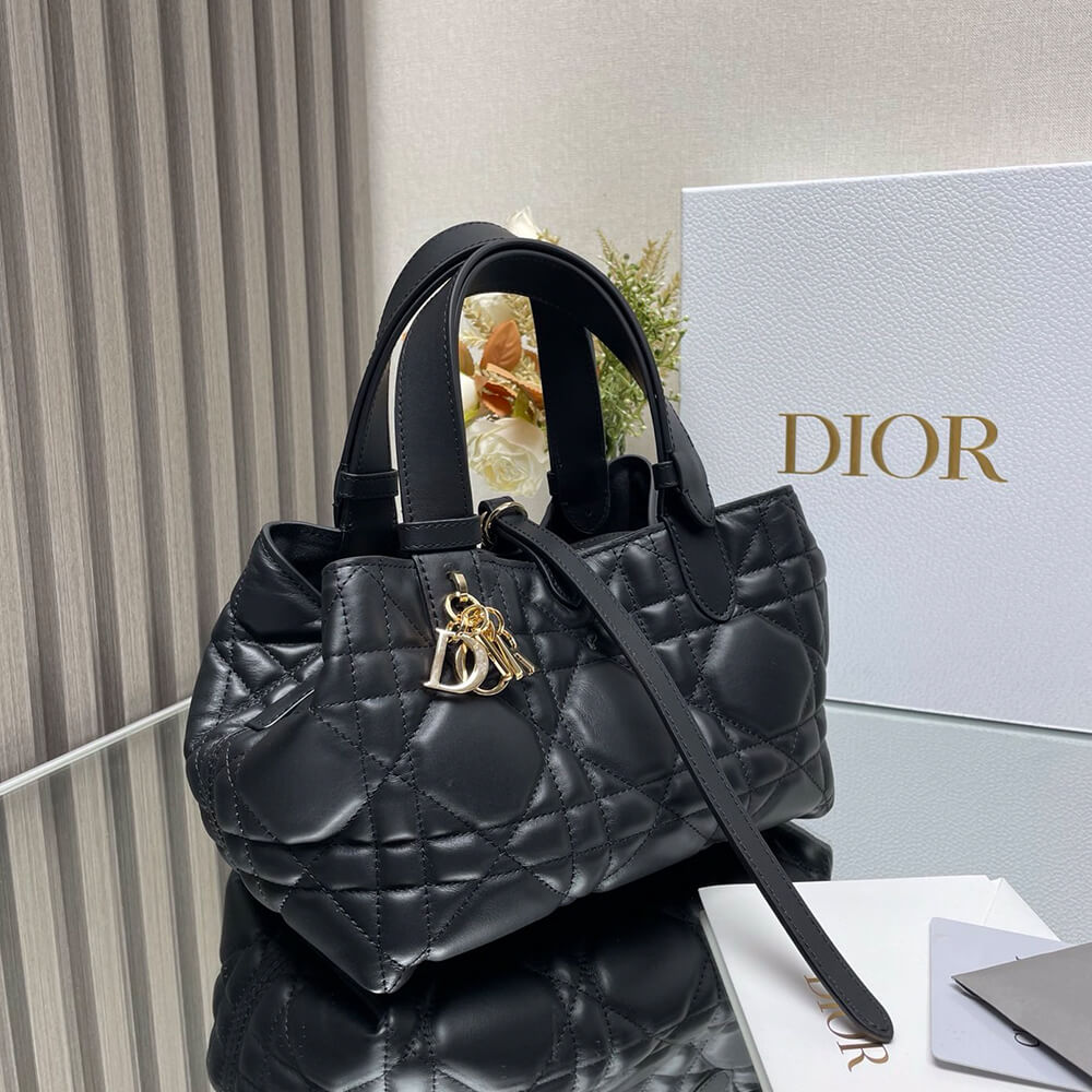 small D*or toujours bag(high-end grade)
