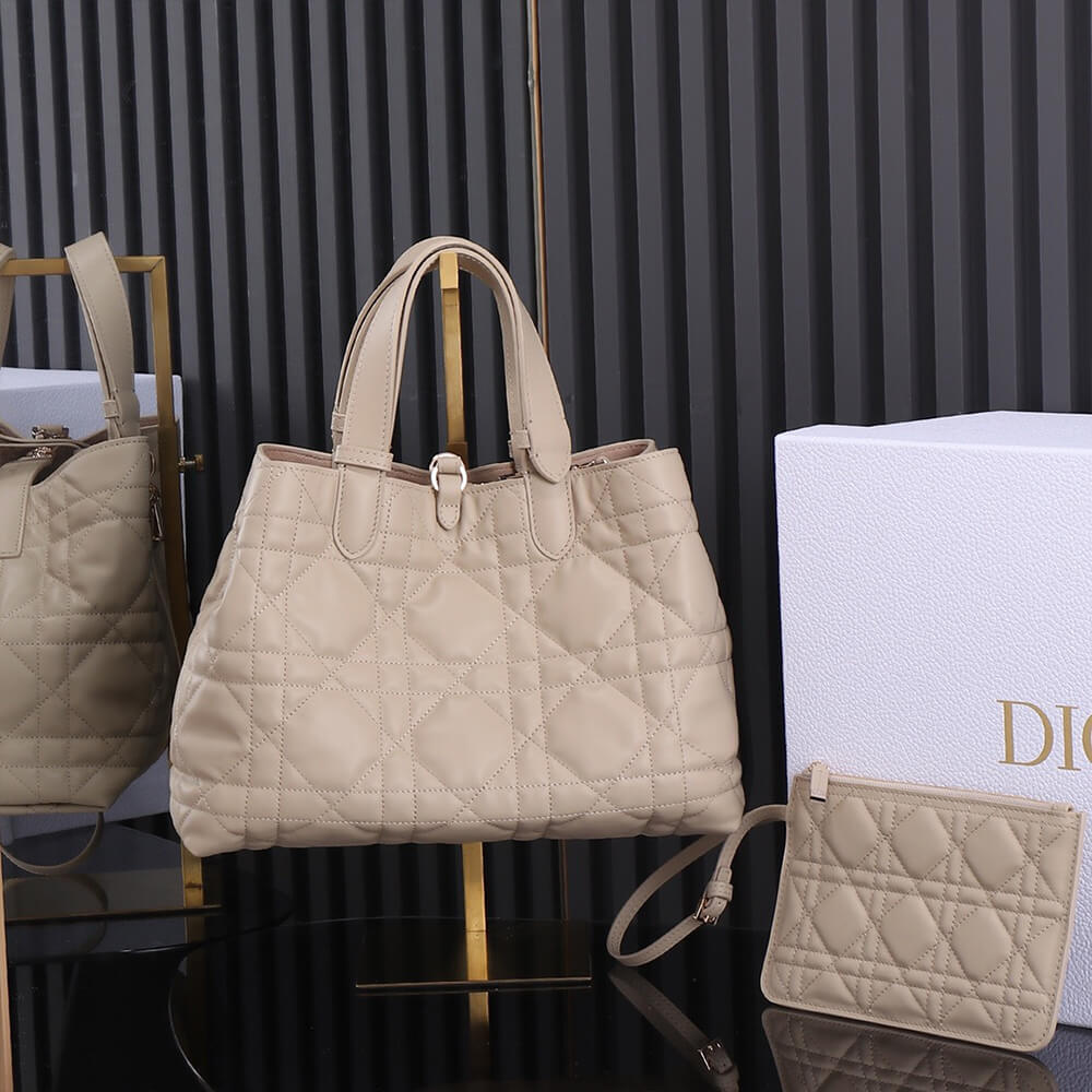 medium D*or toujours bag(high-end grade)